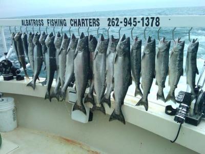 Here is the catch of the year so far 6-13-10! Huge Chinook King Salmon and a Limit catch all in one trip! Wow.. Call now for your Adventure of a Life time! Albatross Fishing Charters 262-945-1378